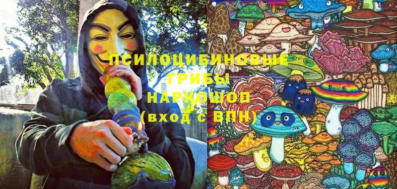 Псилоцибиновые грибы мицелий  где купить наркоту  Уварово 